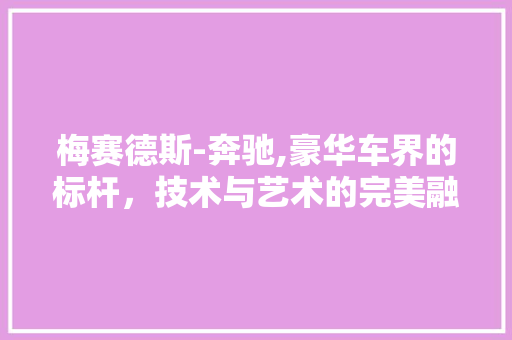 梅赛德斯-奔驰,豪华车界的标杆，技术与艺术的完美融合 车灯配件