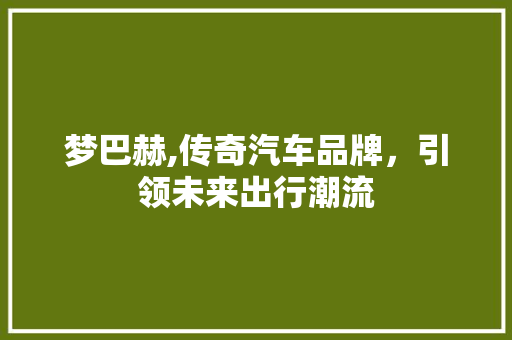 梦巴赫,传奇汽车品牌，引领未来出行潮流