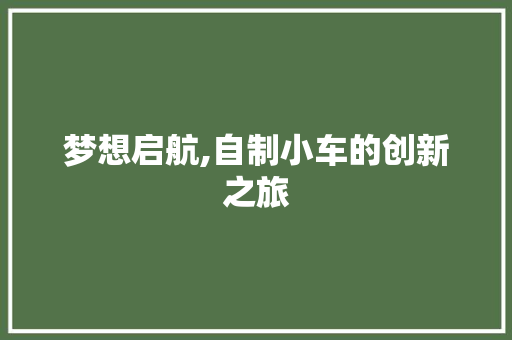 梦想启航,自制小车的创新之旅