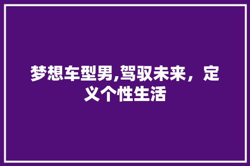 梦想车型男,驾驭未来，定义个性生活