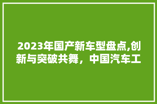 2023年国产新车型盘点,创新与突破共舞，中国汽车工业再攀高峰