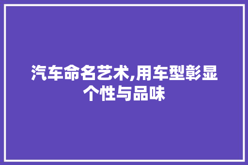 汽车命名艺术,用车型彰显个性与品味
