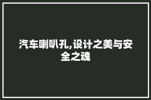 汽车喇叭孔,设计之美与安全之魂