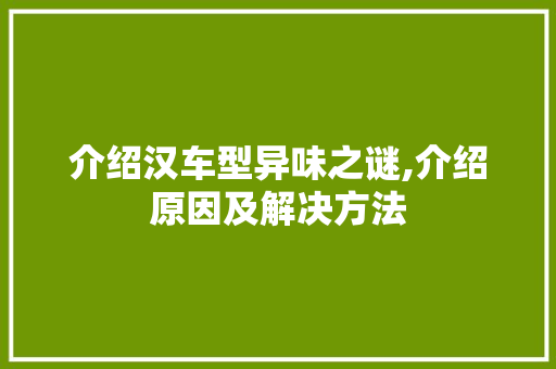 介绍汉车型异味之谜,介绍原因及解决方法