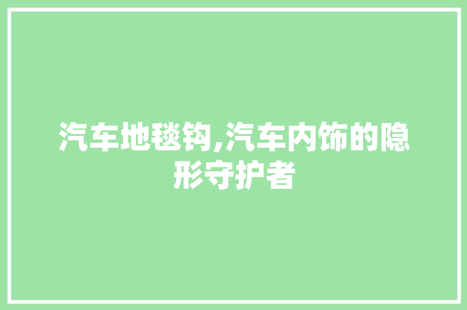 汽车地毯钩,汽车内饰的隐形守护者