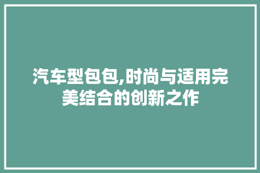 汽车型包包,时尚与适用完美结合的创新之作
