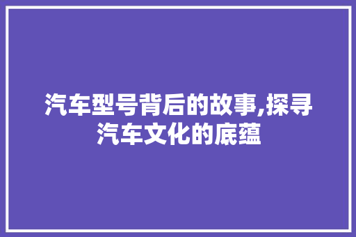 汽车型号背后的故事,探寻汽车文化的底蕴