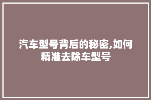 汽车型号背后的秘密,如何精准去除车型号