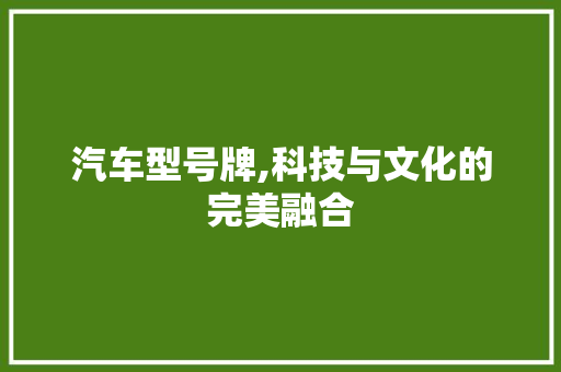 汽车型号牌,科技与文化的完美融合