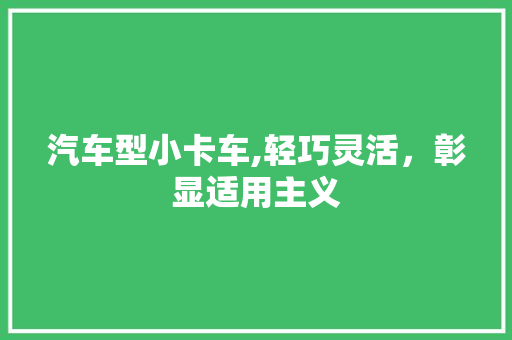 汽车型小卡车,轻巧灵活，彰显适用主义