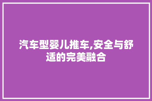 汽车型婴儿推车,安全与舒适的完美融合