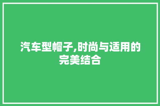 汽车型帽子,时尚与适用的完美结合