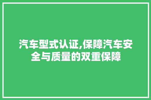 汽车型式认证,保障汽车安全与质量的双重保障