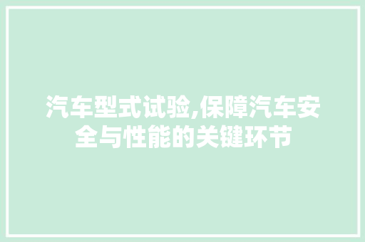 汽车型式试验,保障汽车安全与性能的关键环节
