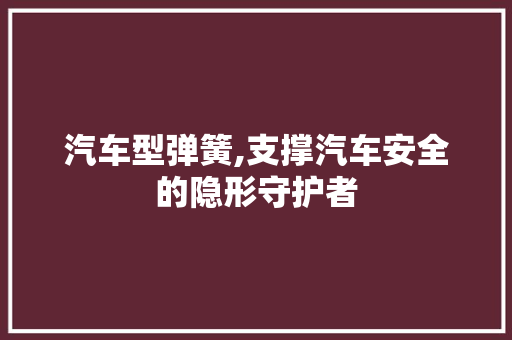 汽车型弹簧,支撑汽车安全的隐形守护者