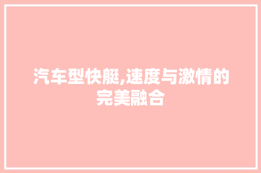 汽车型快艇,速度与激情的完美融合