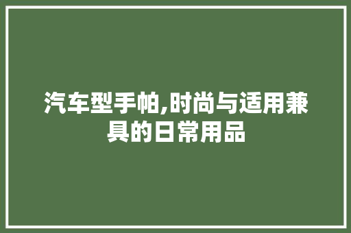 汽车型手帕,时尚与适用兼具的日常用品