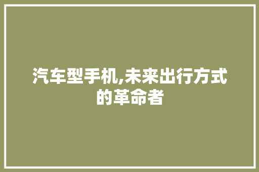 汽车型手机,未来出行方式的革命者