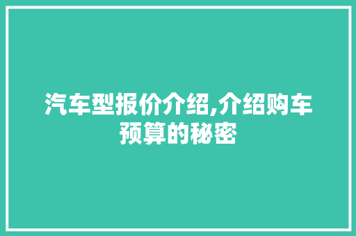 汽车型报价介绍,介绍购车预算的秘密 新能源汽车