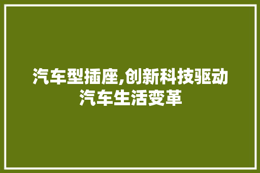 汽车型插座,创新科技驱动汽车生活变革 车身配件