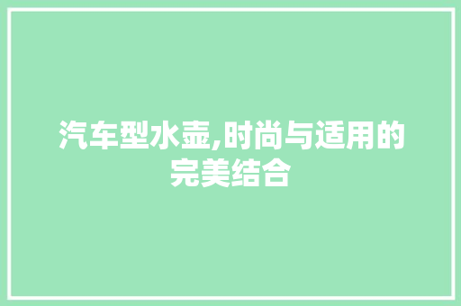 汽车型水壶,时尚与适用的完美结合