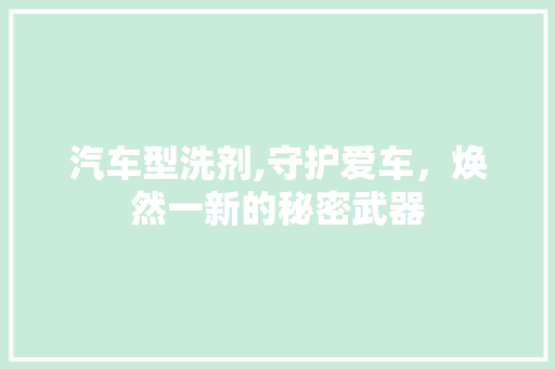 汽车型洗剂,守护爱车，焕然一新的秘密武器