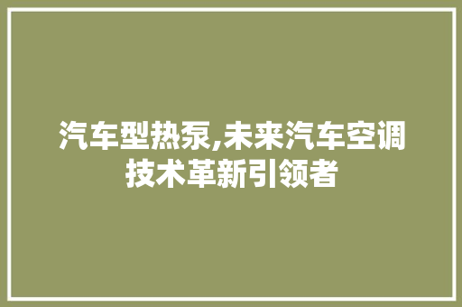 汽车型热泵,未来汽车空调技术革新引领者