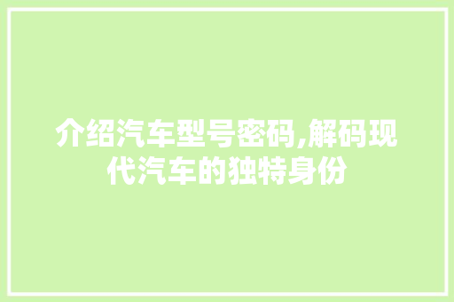 介绍汽车型号密码,解码现代汽车的独特身份