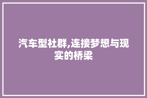汽车型社群,连接梦想与现实的桥梁