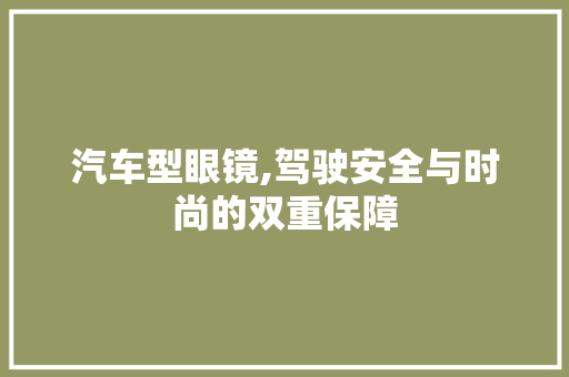汽车型眼镜,驾驶安全与时尚的双重保障