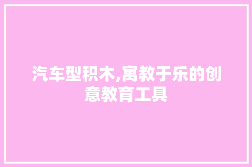 汽车型积木,寓教于乐的创意教育工具