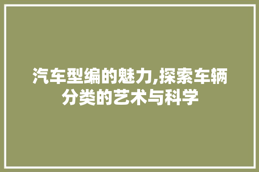 汽车型编的魅力,探索车辆分类的艺术与科学