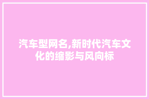 汽车型网名,新时代汽车文化的缩影与风向标