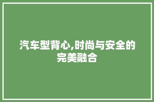 汽车型背心,时尚与安全的完美融合