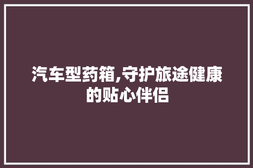 汽车型药箱,守护旅途健康的贴心伴侣