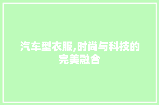 汽车型衣服,时尚与科技的完美融合