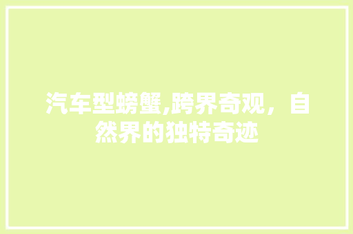 汽车型螃蟹,跨界奇观，自然界的独特奇迹