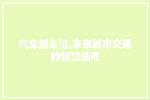 汽车型车位,未来城市交通的智慧选择