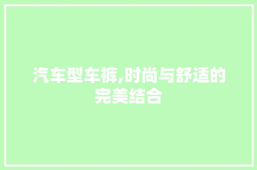 汽车型车裤,时尚与舒适的完美结合