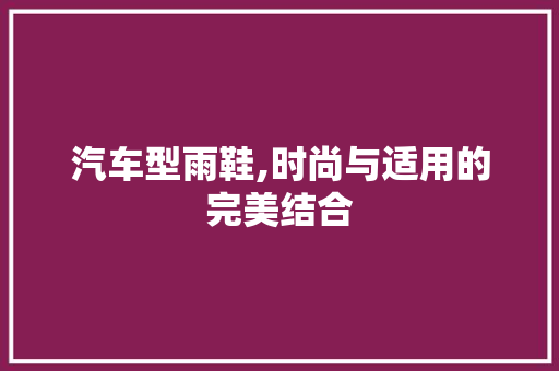 汽车型雨鞋,时尚与适用的完美结合