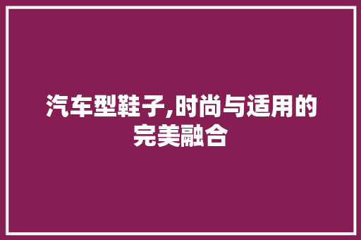 汽车型鞋子,时尚与适用的完美融合 新能源汽车