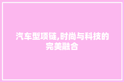 汽车型项链,时尚与科技的完美融合 车身配件