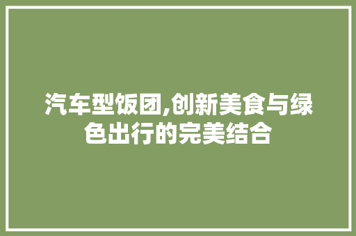 汽车型饭团,创新美食与绿色出行的完美结合