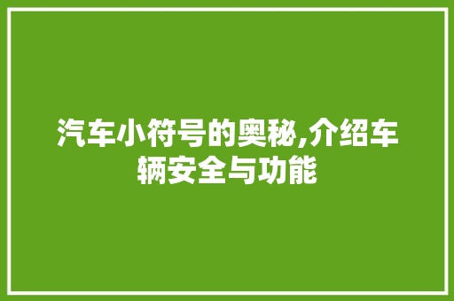 汽车小符号的奥秘,介绍车辆安全与功能