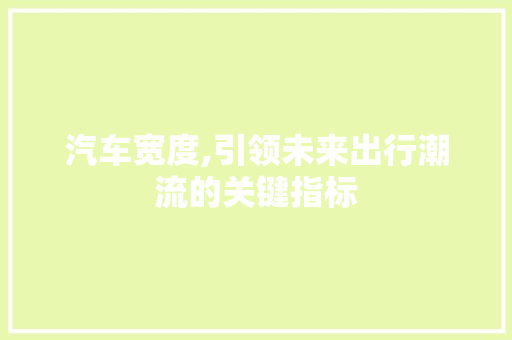 汽车宽度,引领未来出行潮流的关键指标