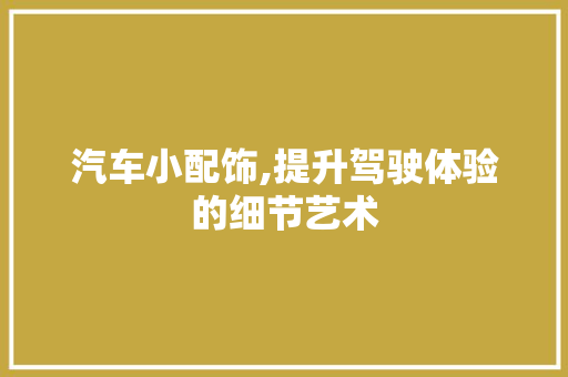 汽车小配饰,提升驾驶体验的细节艺术