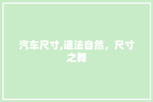 汽车尺寸,道法自然，尺寸之舞