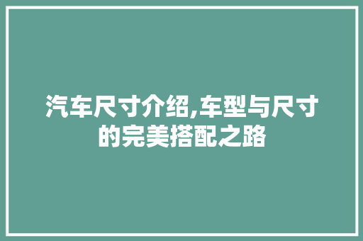 汽车尺寸介绍,车型与尺寸的完美搭配之路