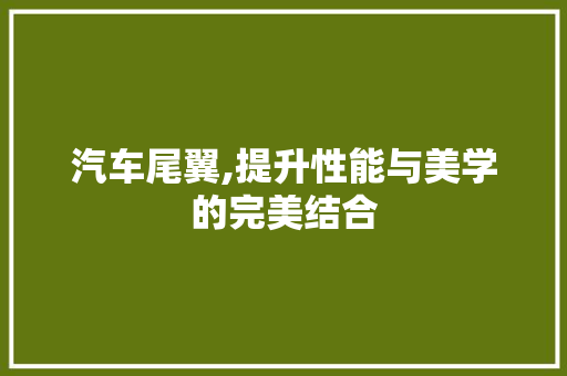 汽车尾翼,提升性能与美学的完美结合
