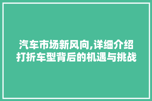 汽车市场新风向,详细介绍打折车型背后的机遇与挑战